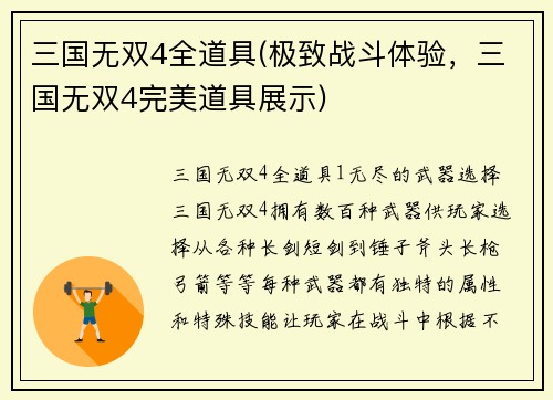 三国无双4全道具(极致战斗体验，三国无双4完美道具展示)